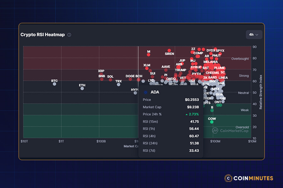 RSI Divergence and Momentum Gauges
