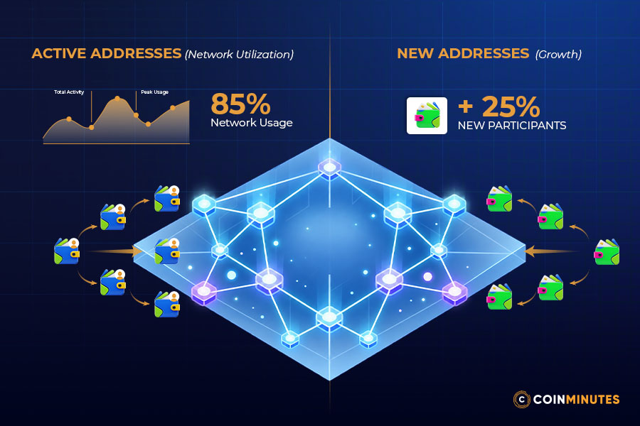 Network Activity