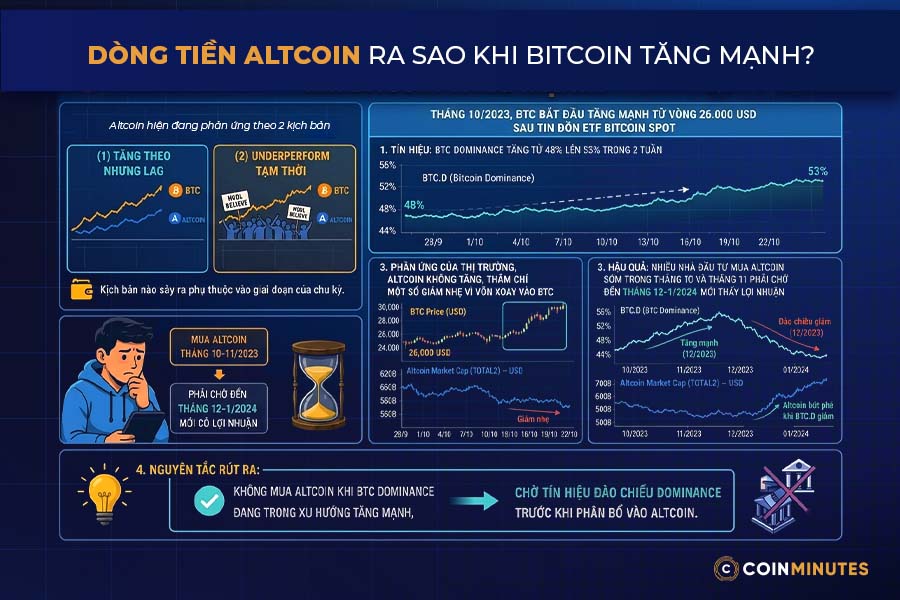 Altcoin 2026 đang ở giai đoạn nào?