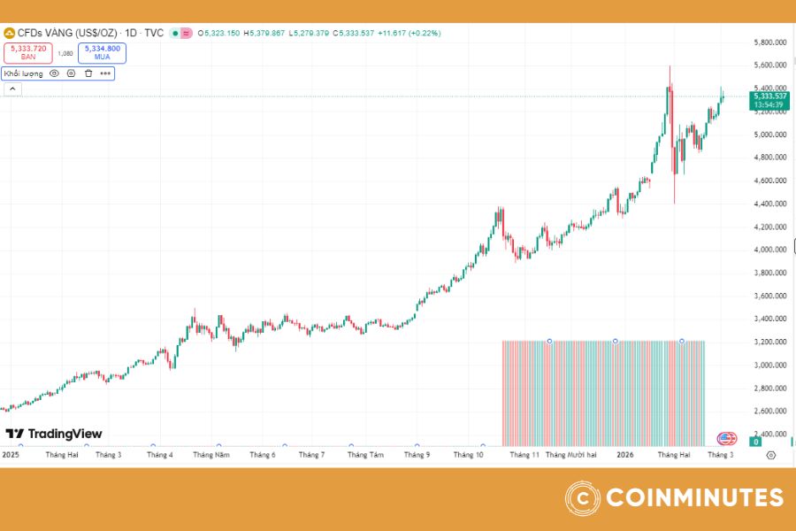 biến động giá vàng