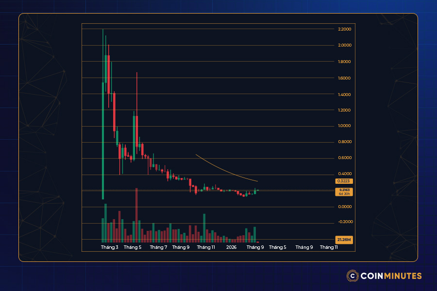 Biểu đồ giá Pi