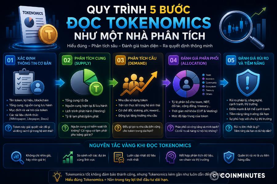 Nắm rõ về quy trình 5 bước Tokenomics để phân tích chuẩn chuyên gia