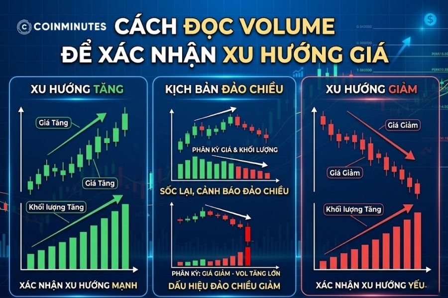 TradingView là nền tảng rất phổ biến trong phân tích kỹ thuật