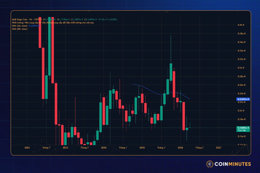 Tổng quan tình hình giá DogeCoin hiện tại, nhận định - cập nhật mới nhất