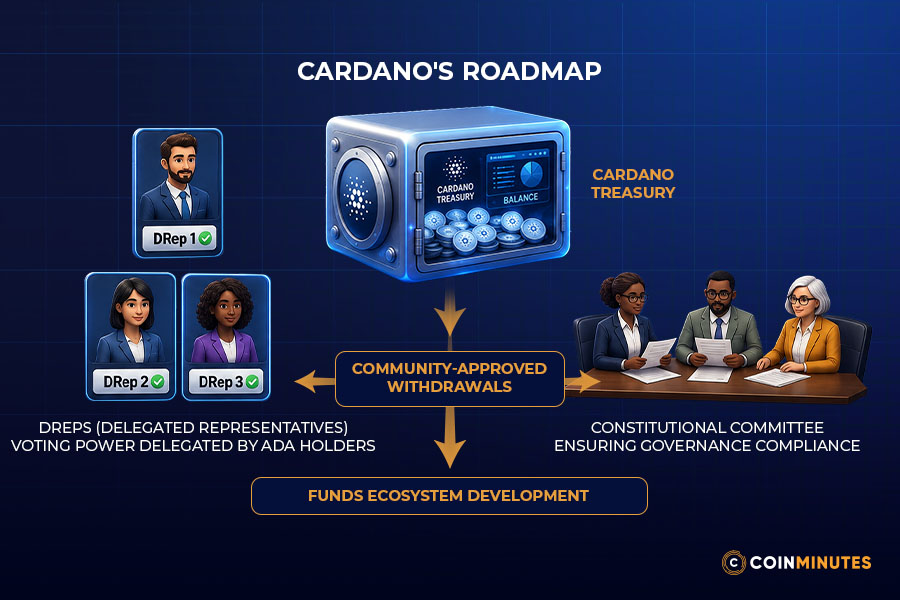 Treasury Governance and Community Participation