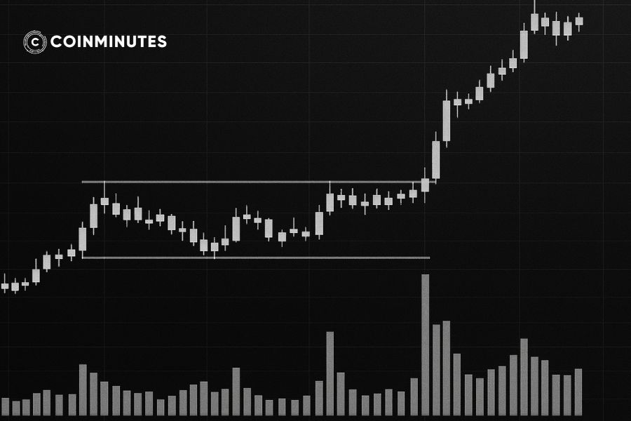 Chiến lược giao dịch thông minh dựa trên khối lượng