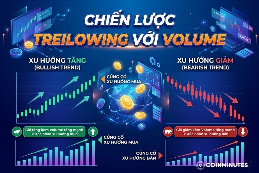 Giao dịch thuận xu hướng - Trend Following là lựa chọn an toàn cho nhà đầu tư