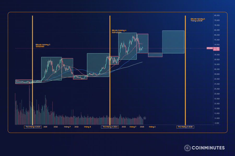 Sơ đồ chu kỳ 4 năm crypto