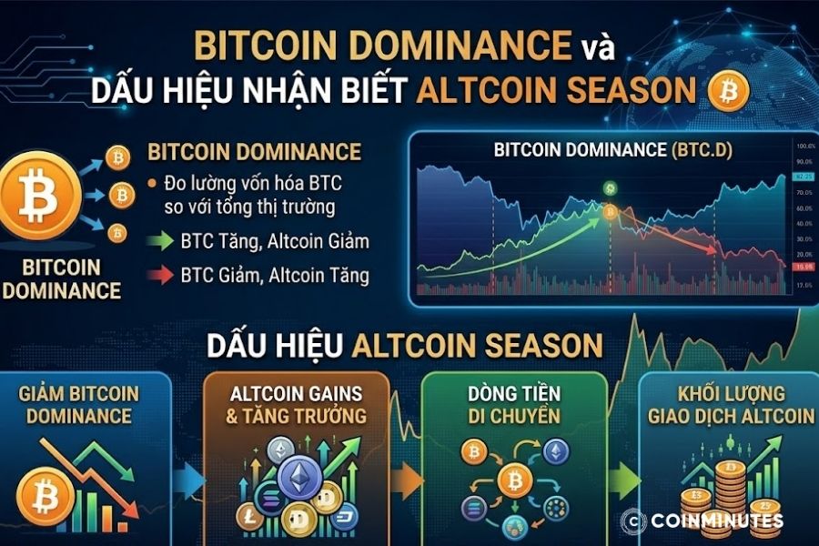 Sự sụt giảm rõ rệt của chỉ số Bitcoin Dominance thường là dấu hiệu của dòng tiền dịch chuyển khỏi Bitcoin