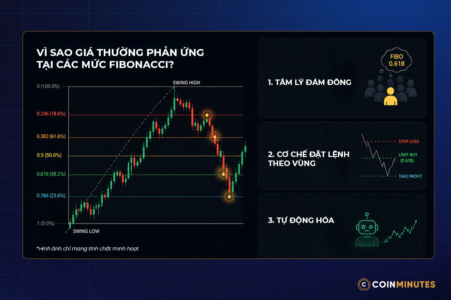 Fibonacci trong crypto hoạt động như thế nào?