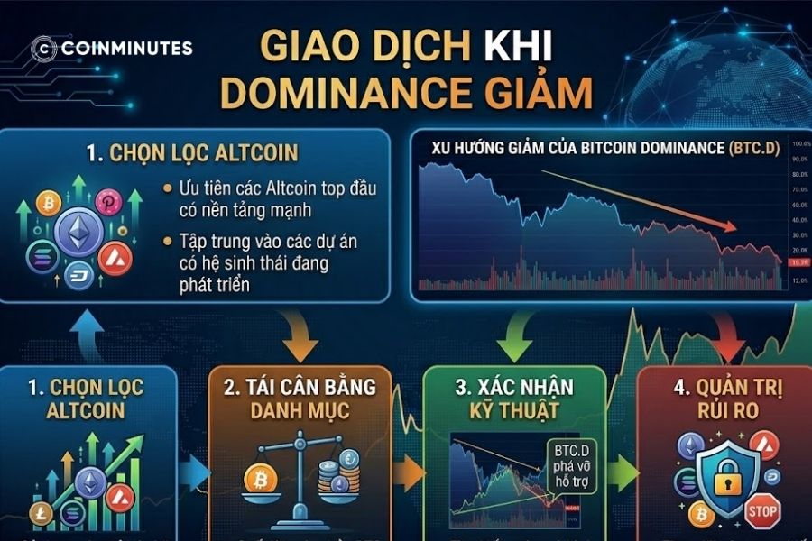 Nhà đầu tư có thể sử dụng Dominance như một bộ lọc xác định thời điểm luân chuyển dòng vốn