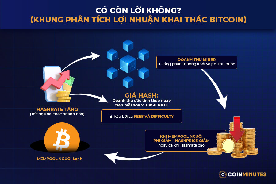 Vì sao Hash Rate quan trọng trong đào coin?