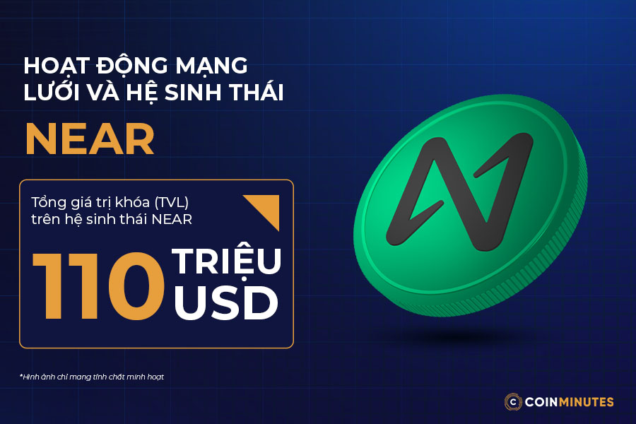 Hoạt động mạng lưới và hệ sinh thái NEAR