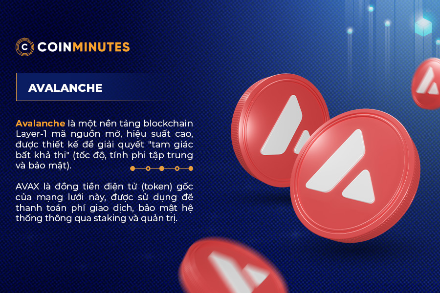 khái niệm Avalanche (AVAX) là gì