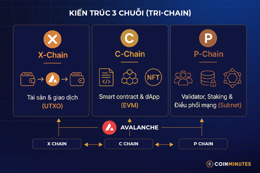 Avalanche hoạt động như thế nào