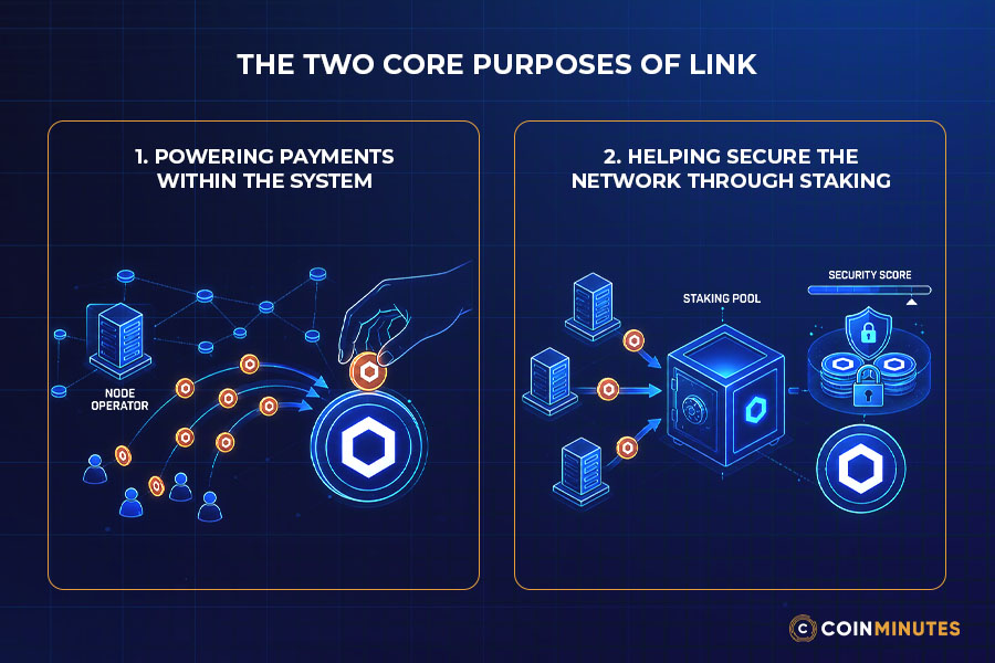 LINK's Functional Role in the Network