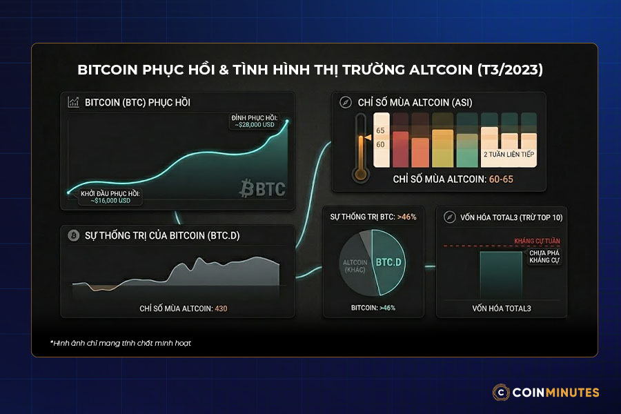 lưu ý khi sử dụng Chỉ số mùa Altcoin