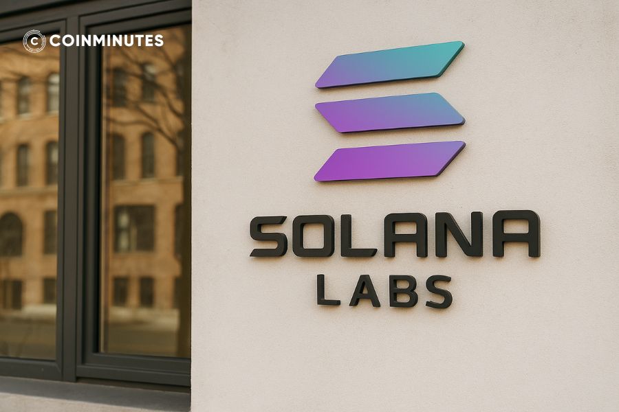 Nguồn gốc và đội ngũ phát triển Solana