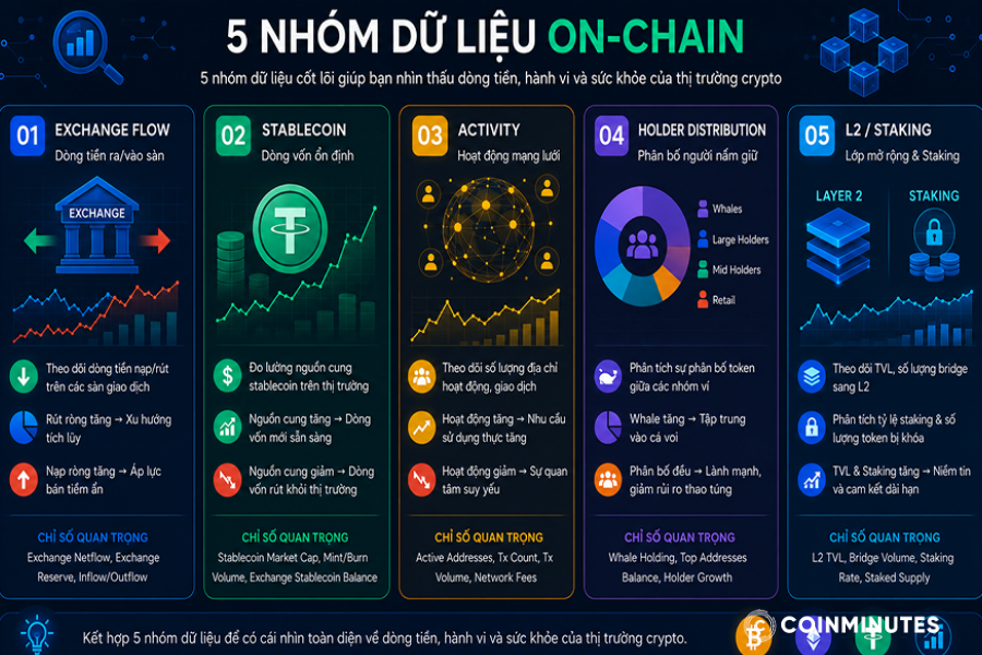 Có 5 loại dữ liệu on-chain