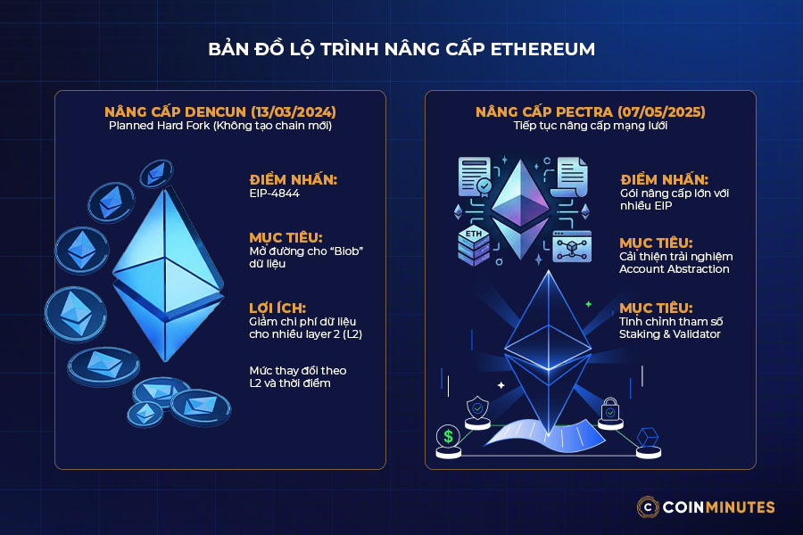 Planned Hard Fork (nâng cấp mạng lưới)