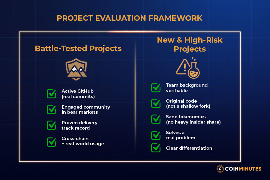Project evaluation framework
