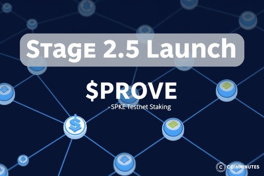 Succinct khởi động Stage 2.5