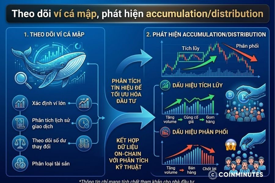 Theo dõi dòng tiền để nhận biết hành vi cá mập tránh rủi ro