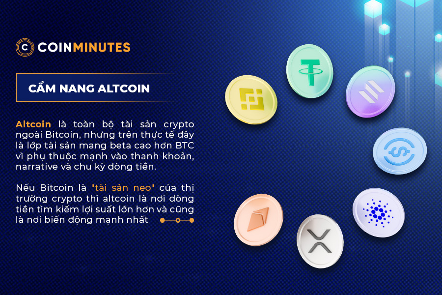 Tổng quan Altcoin trong hệ sinh thái tiền điện tử
