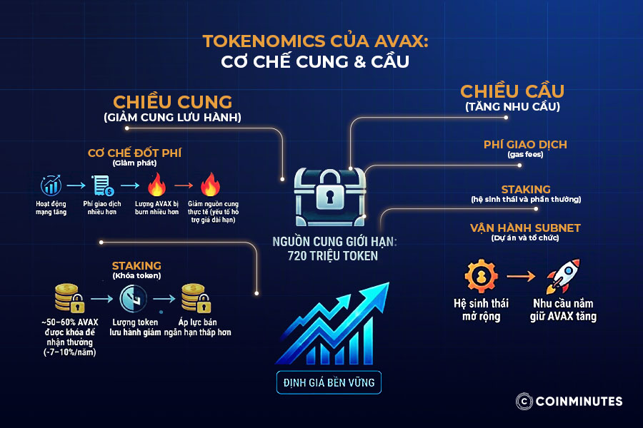 Tokenomics và cung-cầu AVAX 