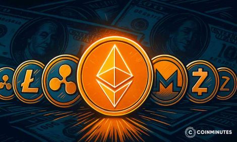 What is an altcoin