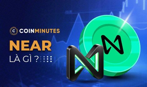 NEAR Coin là gì? Công dụng, Tokenomics và tiềm năng đầu tư
