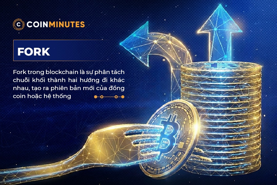 Fork là gì? Tác động của Fork đến hệ sinh thái và giá trị tiền mã hóa